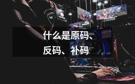什么是原码、反码、补码-第1张-游戏信息-龙启网