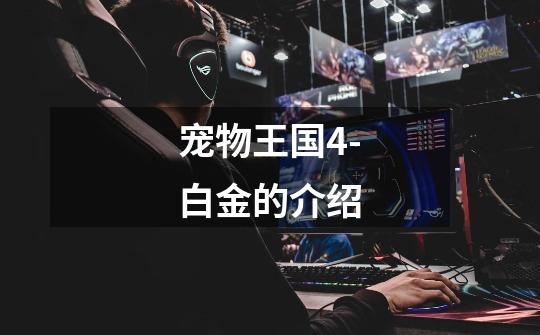 宠物王国4-白金的介绍-第1张-游戏信息-龙启网