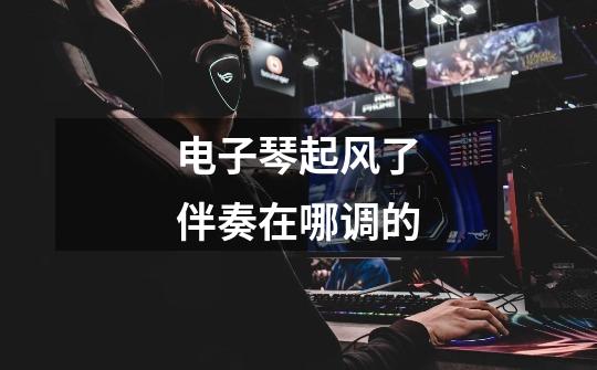 电子琴起风了伴奏在哪调的-第1张-游戏信息-龙启网