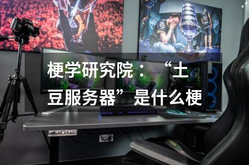 梗学研究院 :“土豆服务器”是什么梗-第1张-游戏信息-龙启网
