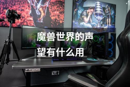 魔兽世界的声望有什么用-第1张-游戏信息-龙启网
