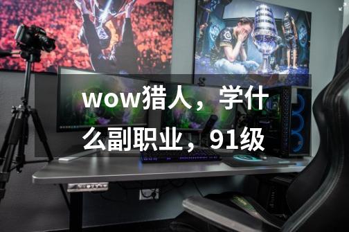 wow猎人，学什么副职业，91级-第1张-游戏信息-龙启网