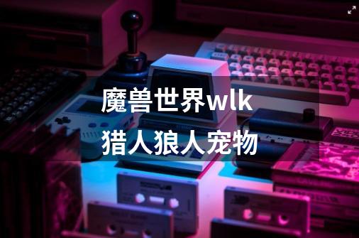 魔兽世界wlk猎人狼人宠物-第1张-游戏信息-龙启网