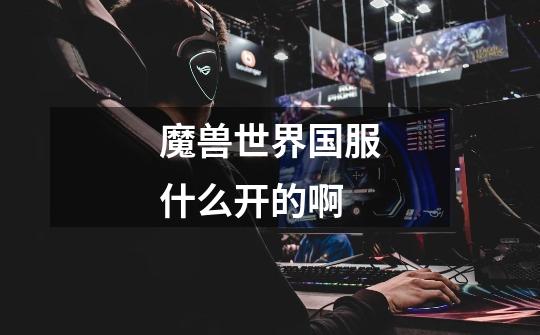 魔兽世界国服什么开的啊-第1张-游戏信息-龙启网