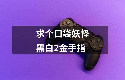 求个口袋妖怪黑白2金手指-第1张-游戏信息-龙启网