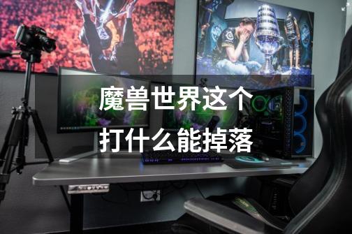 魔兽世界这个打什么能掉落-第1张-游戏信息-龙启网