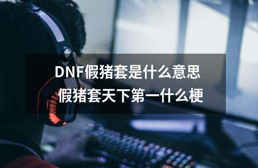 DNF假猪套是什么意思 假猪套天下第一什么梗-第1张-游戏信息-龙启网