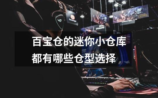 百宝仓的迷你小仓库都有哪些仓型选择-第1张-游戏信息-龙启网