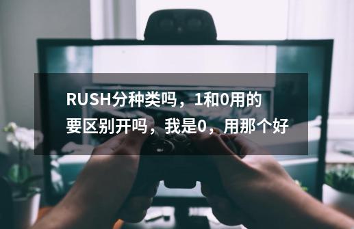 RUSH分种类吗，1和0用的要区别开吗，我是0，用那个好-第1张-游戏信息-龙启网