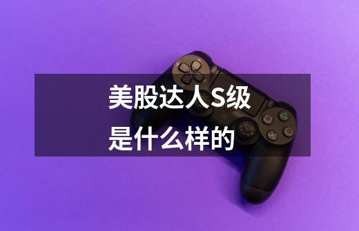 美股达人S级是什么样的-第1张-游戏信息-龙启网