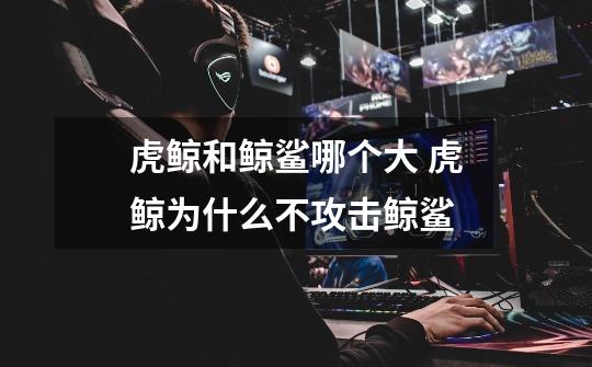 虎鲸和鲸鲨哪个大 虎鲸为什么不攻击鲸鲨-第1张-游戏信息-龙启网