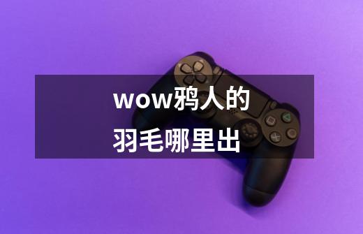 wow鸦人的羽毛哪里出-第1张-游戏信息-龙启网