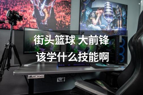 街头篮球 大前锋 该学什么技能啊-第1张-游戏信息-龙启网
