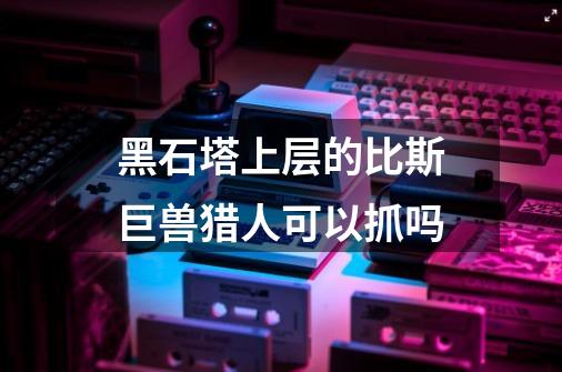 黑石塔上层的比斯巨兽猎人可以抓吗-第1张-游戏信息-龙启网