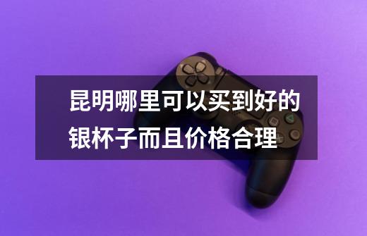 昆明哪里可以买到好的银杯子而且价格合理-第1张-游戏信息-龙启网