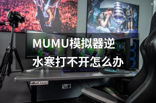 MUMU模拟器逆水寒打不开怎么办-第1张-游戏信息-龙启网