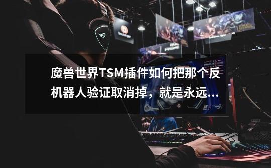 魔兽世界TSM插件如何把那个反机器人验证取消掉，就是永远都不让他跳出来-第1张-游戏信息-龙启网