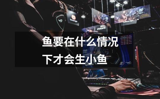 鱼要在什么情况下才会生小鱼-第1张-游戏信息-龙启网