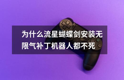 为什么流星蝴蝶剑安装无限气补丁机器人都不死-第1张-游戏信息-龙启网