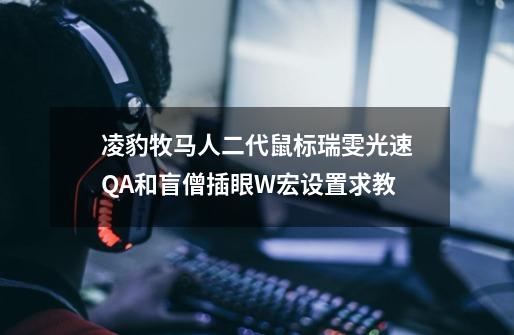 凌豹牧马人二代鼠标瑞雯光速QA和盲僧插眼W宏设置求教-第1张-游戏信息-龙启网