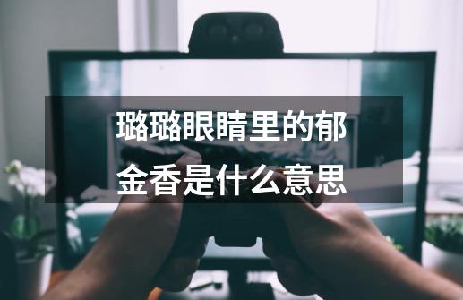 璐璐眼睛里的郁金香是什么意思-第1张-游戏信息-龙启网