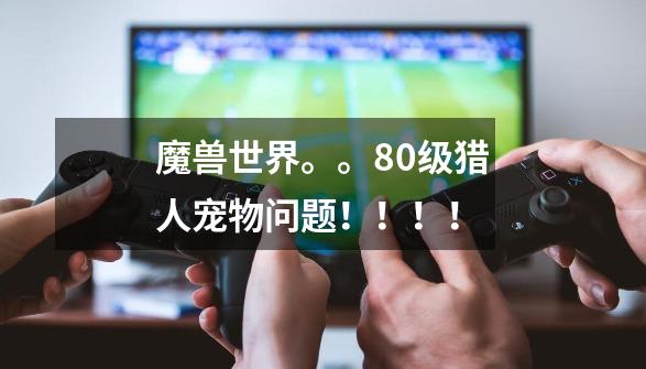 魔兽世界。。80级猎人宠物问题!!!!-第1张-游戏信息-龙启网