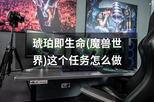 琥珀即生命(魔兽世界)这个任务怎么做-第1张-游戏信息-龙启网