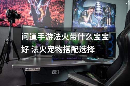 问道手游法火带什么宝宝好 法火宠物搭配选择-第1张-游戏信息-龙启网