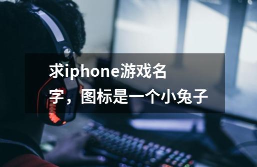 求iphone游戏名字，图标是一个小兔子-第1张-游戏信息-龙启网
