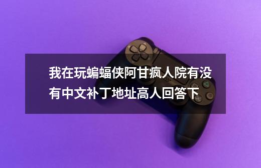 我在玩蝙蝠侠阿甘疯人院有没有中文补丁地址高人回答下-第1张-游戏信息-龙启网