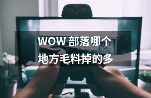 WOW 部落哪个地方毛料掉的多-第1张-游戏信息-龙启网