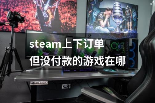 steam上下订单但没付款的游戏在哪-第1张-游戏信息-龙启网