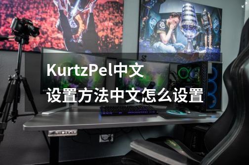 KurtzPel中文设置方法中文怎么设置-第1张-游戏信息-龙启网