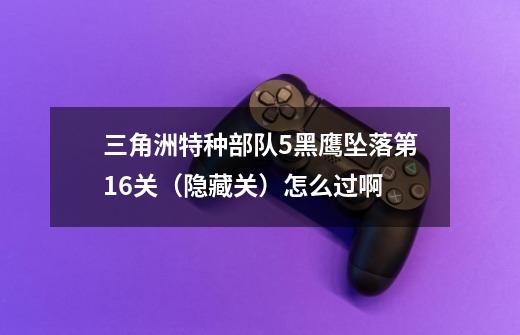 三角洲特种部队5黑鹰坠落第16关(隐藏关)怎么过啊-第1张-游戏信息-龙启网