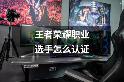 王者荣耀职业选手怎么认证-第1张-游戏信息-龙启网