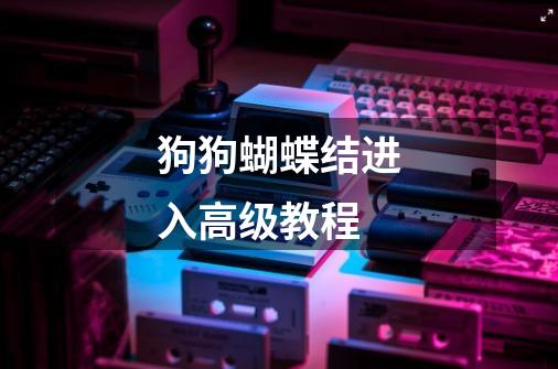 狗狗蝴蝶结进入高级教程-第1张-游戏信息-龙启网