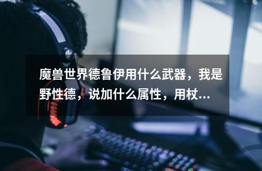 魔兽世界德鲁伊用什么武器，我是野性德，说加什么属性，用杖还是什么-第1张-游戏信息-龙启网