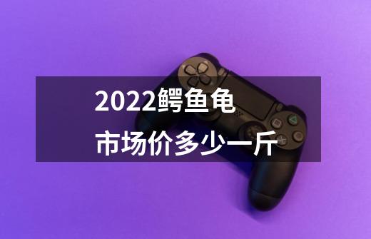 2022鳄鱼龟市场价多少一斤-第1张-游戏信息-龙启网
