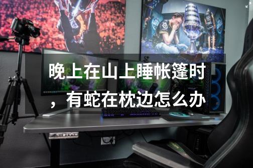 晚上在山上睡帐篷时，有蛇在枕边怎么办-第1张-游戏信息-龙启网