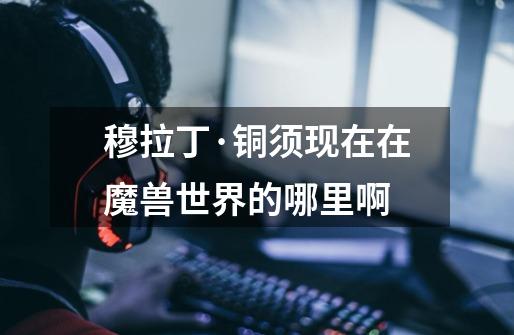 穆拉丁·铜须现在在魔兽世界的哪里啊-第1张-游戏信息-龙启网