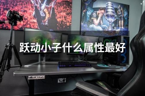 跃动小子什么属性最好-第1张-游戏信息-龙启网