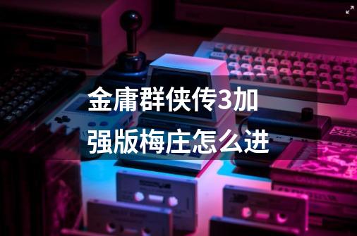 金庸群侠传3加强版梅庄怎么进-第1张-游戏信息-龙启网