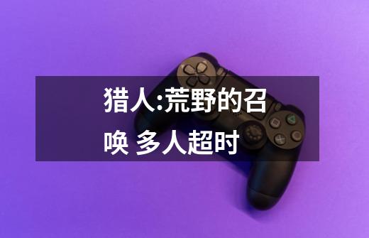 猎人:荒野的召唤 多人超时-第1张-游戏信息-龙启网