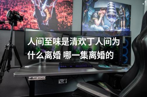 人间至味是清欢丁人间为什么离婚 哪一集离婚的-第1张-游戏信息-龙启网