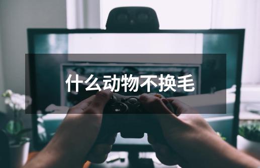 什么动物不换毛-第1张-游戏信息-龙启网