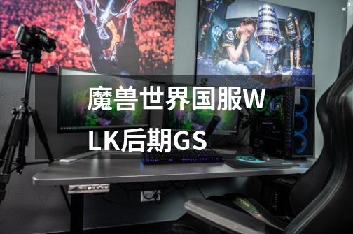 魔兽世界国服WLK后期GS-第1张-游戏信息-龙启网