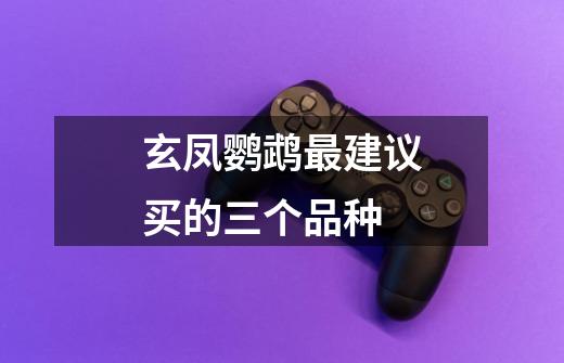 玄凤鹦鹉最建议买的三个品种-第1张-游戏信息-龙启网