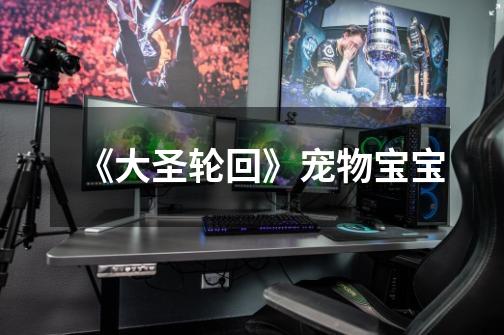 《大圣轮回》宠物宝宝-第1张-游戏信息-龙启网