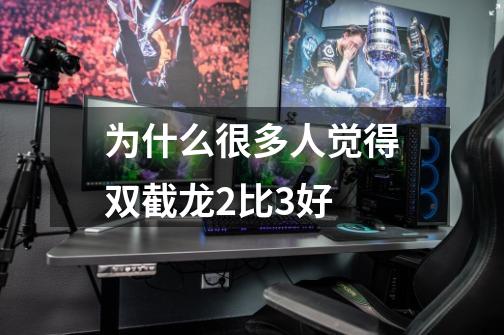 为什么很多人觉得双截龙2比3好-第1张-游戏信息-龙启网