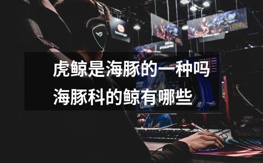 虎鲸是海豚的一种吗海豚科的鲸有哪些-第1张-游戏信息-龙启网